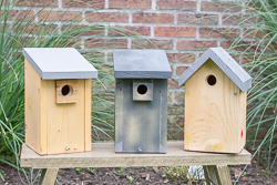 Vogelnestkastjes.