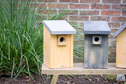Vogelnestkastjes.