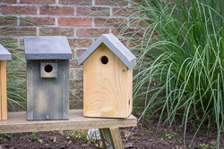 Vogelnestkastjes.