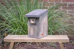 Vogelnestkastjes.