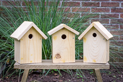 Vogelnestkastjes.