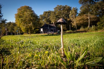 Herfst in de Fryske-Walden 2026 - foto 13