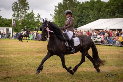 Hynstedagen Sumarreheide 2026 - foto 5