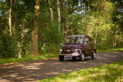 Fiat 500 Fryske Wâldenrit 2024 - foto 3